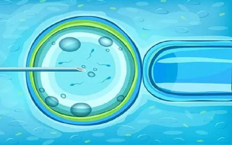 保定试管包成功代生